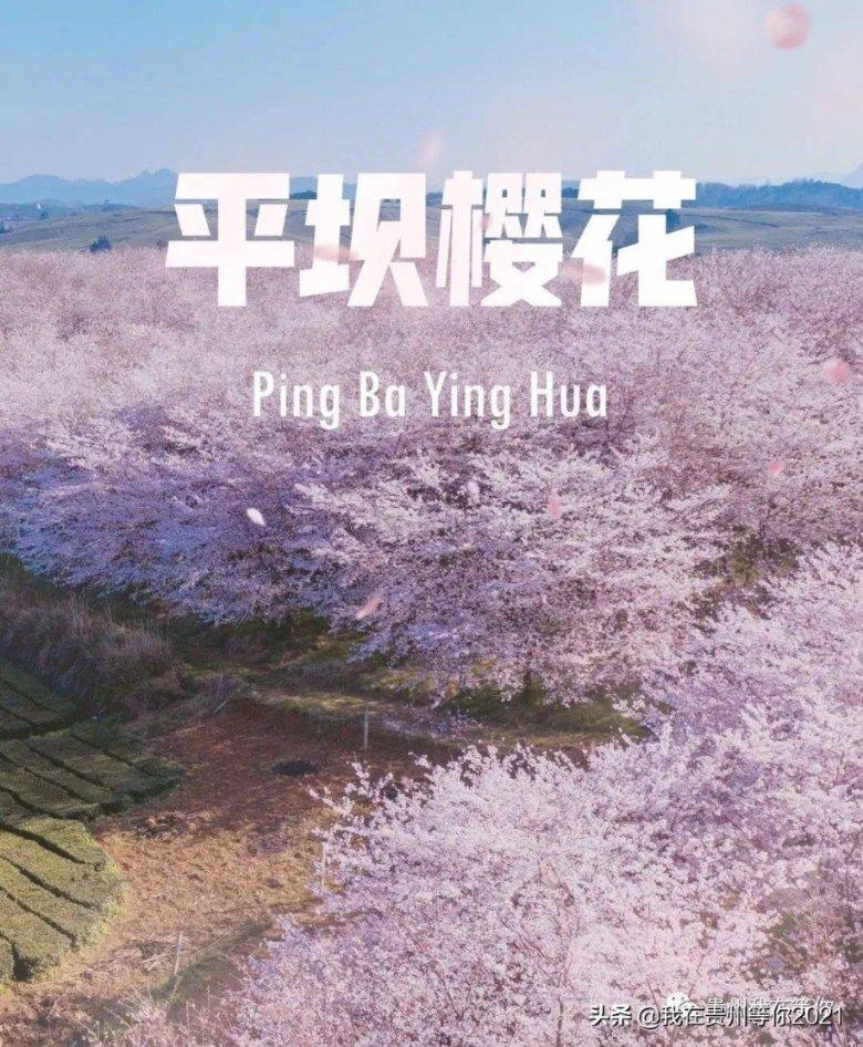 电脑进了点水，拆了一遍装上出这个。专家给看看。游戏画面